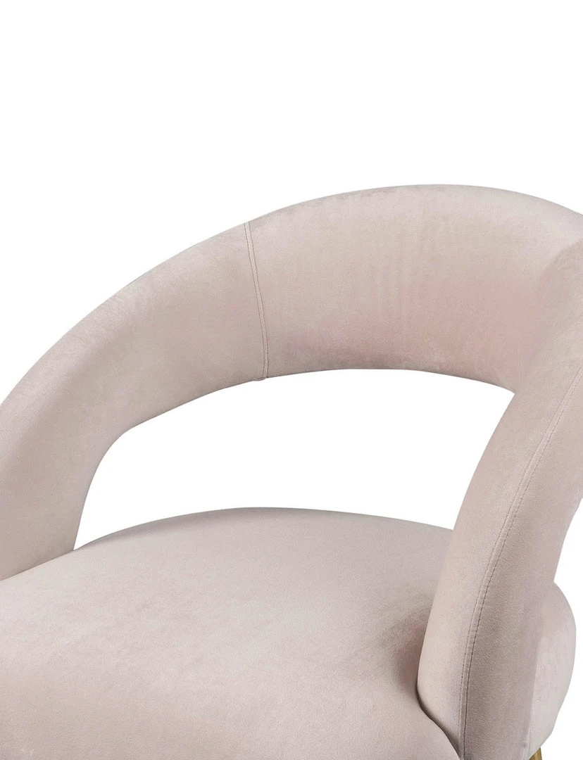 Tov FURNITURE Racoon Dining Chair 4 Tov FURNITURE Racoon Dining Chair