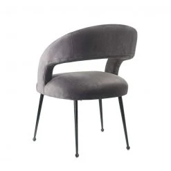 Tov FURNITURE Racoon Dining Chair 37 Tov FURNITURE Racoon Dining Chair