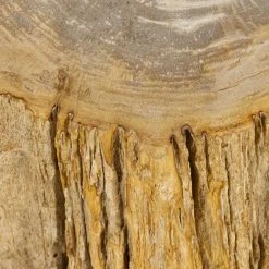 Four Hands Ronald End Table NEW ARRIVAL