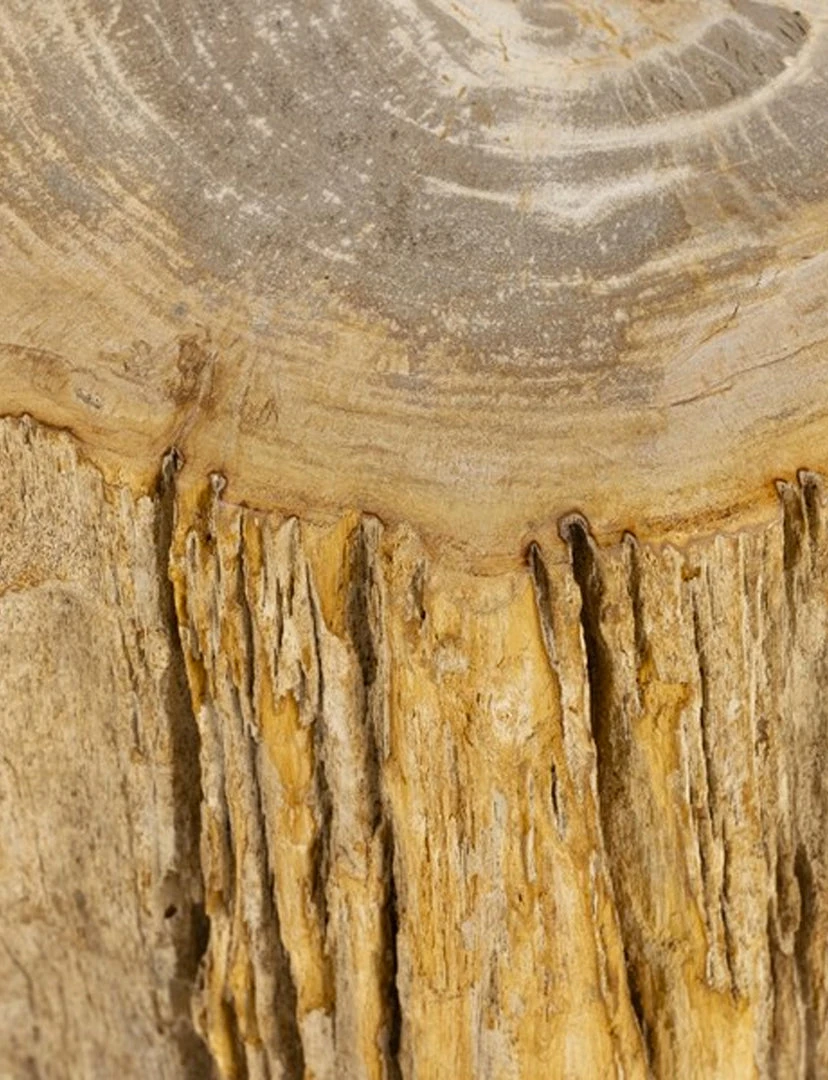 Four Hands Ronald End Table NEW ARRIVAL 2 Four Hands Ronald End Table NEW ARRIVAL