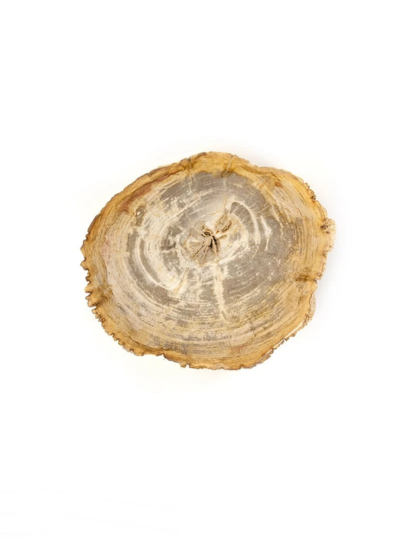 Four Hands Ronald End Table NEW ARRIVAL 3 Four Hands Ronald End Table NEW ARRIVAL