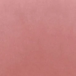 Zuo Rosie Dining Chair FURNITURE