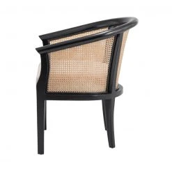 Npd Sabeth Accent Chair FURNITURE