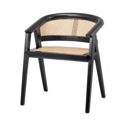 Npd Sene Dining Chair
