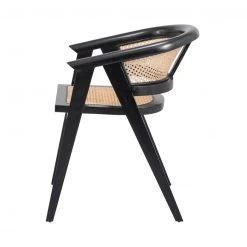 Npd Sene Dining Chair