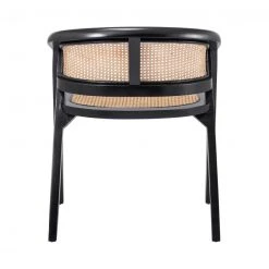 Npd Sene Dining Chair