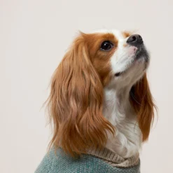 Howlpot Shawl Knit, Blue Green DECOR