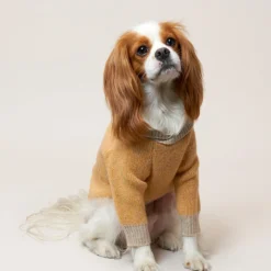 Howlpot Shawl Knit, Ginger