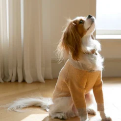 Howlpot Shawl Knit, Ginger