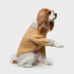 Howlpot Shawl Knit, Ginger