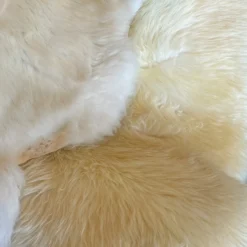 Bidk Home DECOR Dyreskinn Sheepskin