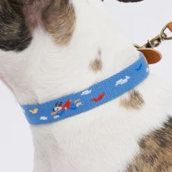 Howlpot Adventure Dog Collar, Sky