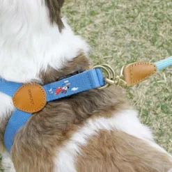 Howlpot Adventure Dog Collar, Sky