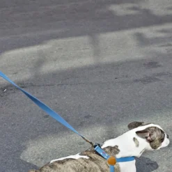 Howlpot Adventure Dog Leash DECOR 33 Howlpot Adventure Dog Leash DECOR