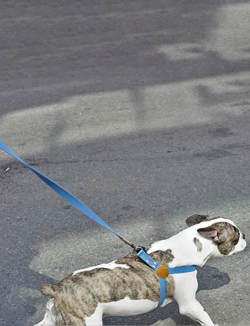 Howlpot Adventure Dog Leash DECOR 17 Howlpot Adventure Dog Leash DECOR