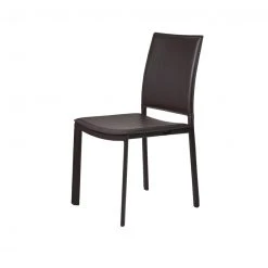 Euro Style NEW ARRIVAL Spade Side Chair (set Of 2)