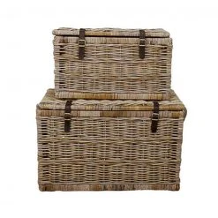 Npd Safari Trunk (set Of 2) FURNITURE