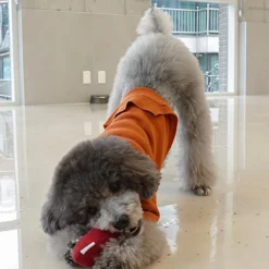 Howlpot Sweet Potato Nosework Dog Toy DECOR