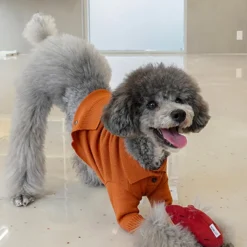 Howlpot Sweet Potato Nosework Dog Toy DECOR