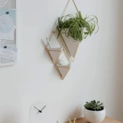 Umbra DECOR Trigg Small Wall Display