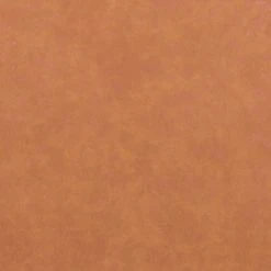 Zuo Wave Dining Chair, Set Of 2 FURNITURE