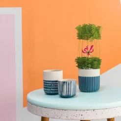 Accent Decor Westview Pot